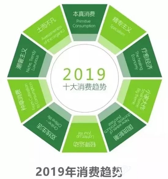 2019鱦ҵչߴ