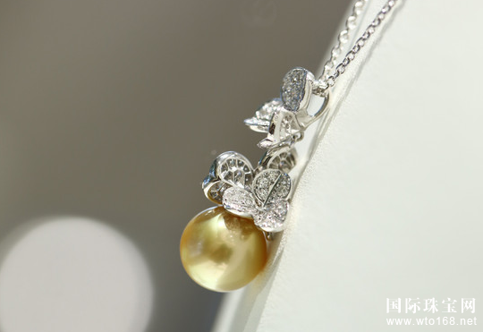 Բ޹ѡ飿רľ (Mikimoto) 鱦